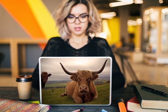 Sticker pour ordinateur portable - 10,1 pouces - Scottish Highlander - Animaux - Berg