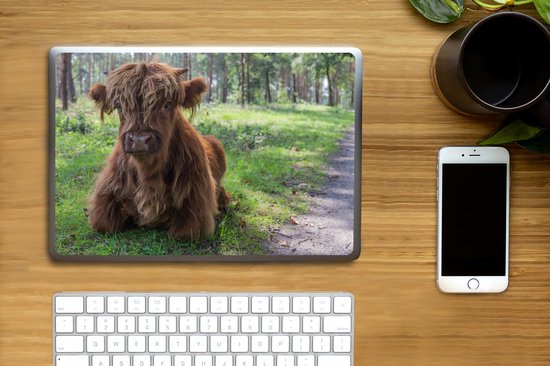 Sticker ordinateur portable - 10,1 pouces - Scottish Highlander - Crapaud - Animaux