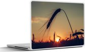 Laptop sticker - 14 inch - Gras - Herfst - Zonsondergang - Seizoenen - Landschap - 32x5x23x5cm - Laptopstickers - Laptop skin - Cover