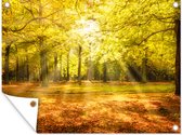 Décoration de Jardin Arbre - Nature - Soleil - Paysage - Forêt - 40x30 cm - Toile de jardin - Poster extérieur