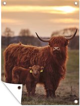 Tuinschilderij Schotse hooglander - Dieren - Landschap - Zonsondergang - Koe - 60x80 cm - Tuinposter - Tuindoek - Buitenposter