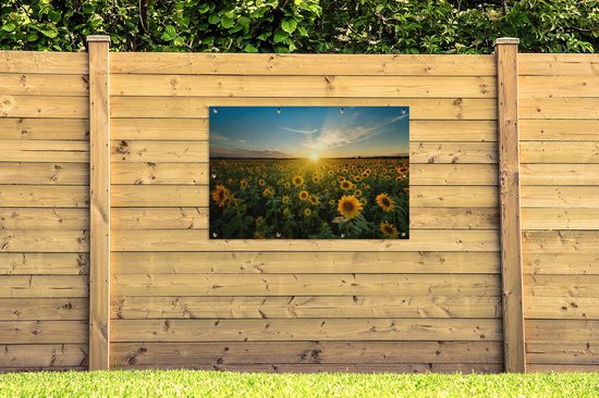 Affiche jardin - Toile jardin - Posters de jardin extérieur - Coucher de soleil - Fleurs - Tournesol - Horizon - Paysage - 120x80 cm - Jardin