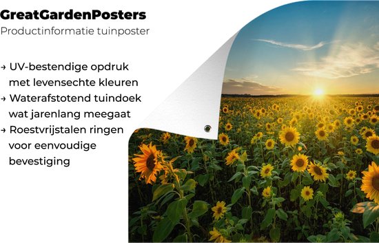 Affiche jardin - Toile jardin - Posters de jardin extérieur - Coucher de soleil - Fleurs - Tournesol - Horizon - Paysage - 120x80 cm - Jardin