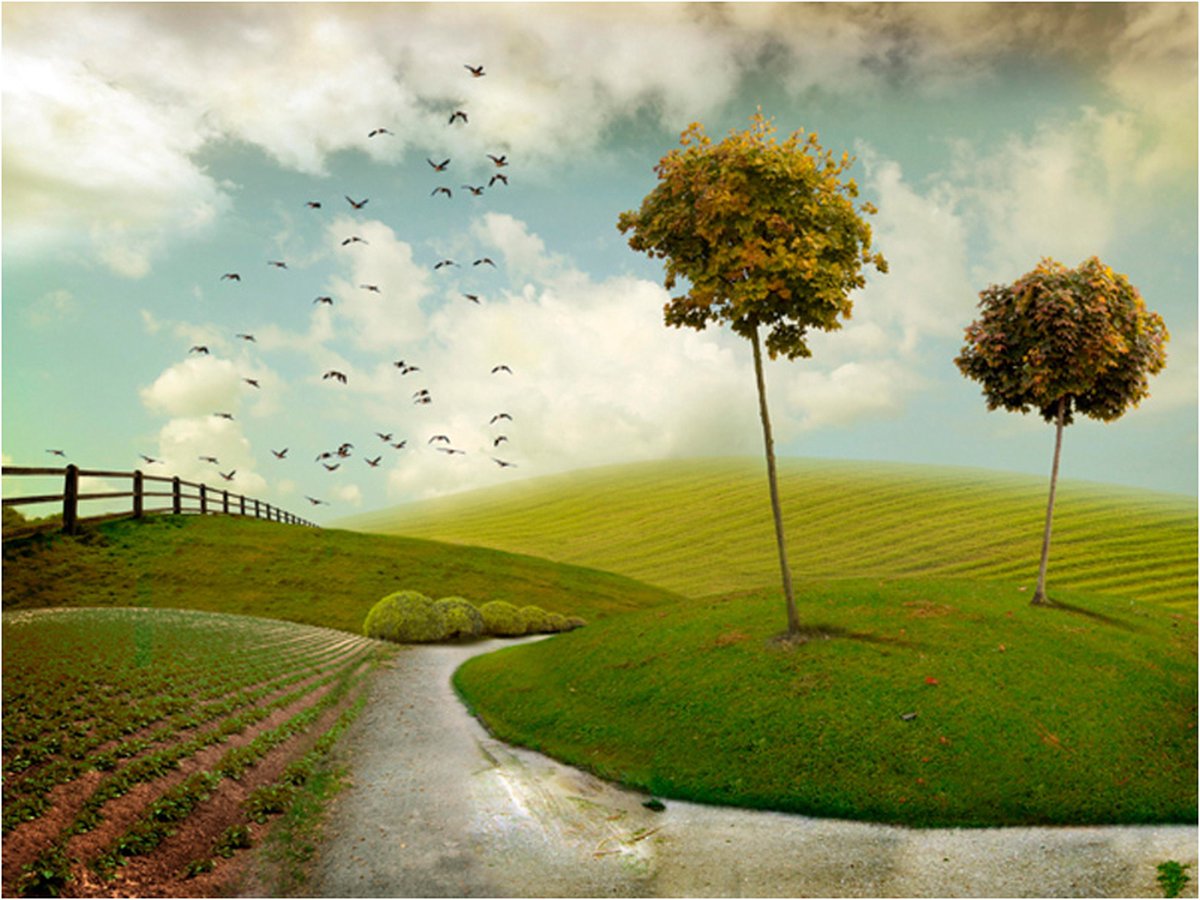 Fotobehang - herfst - landschap.
