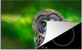 KitchenYeah® Inductie beschermer 81.2x52 cm - Vogel - Uil - Dieren - Bruin - Portret - Kookplaataccessoires - Afdekplaat voor kookplaat - Inductiebeschermer - Inductiemat - Inductieplaat mat