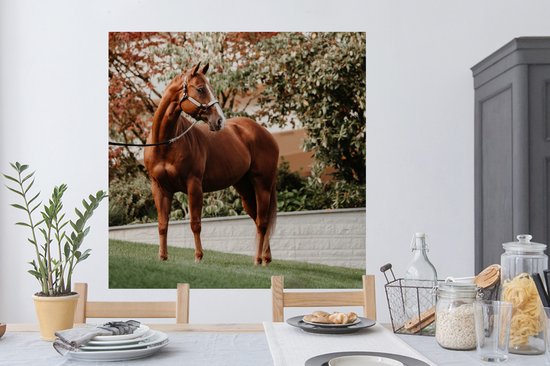 Stickers muraux - Cheval - Arbre - Licol - 120x120 cm - Feuille adhésive XXL