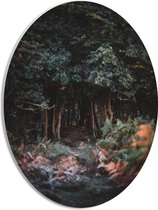 WallClassics - PVC Schuimplaat Ovaal - Donker Groen Bos - 30x40 cm Foto op Ovaal  (Met Ophangsysteem)