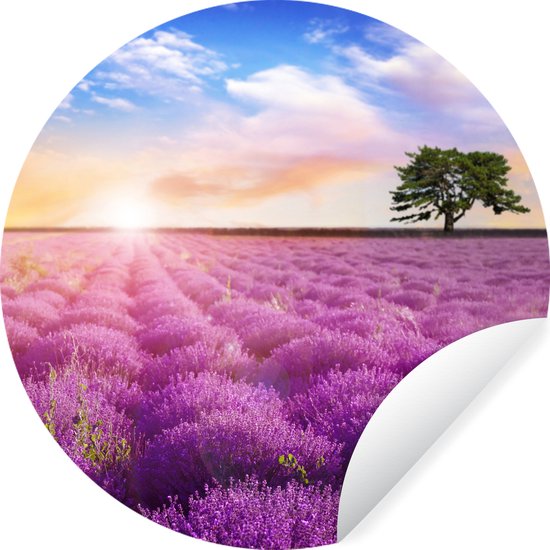 Behangcirkel - Lavendel - Bloemen - Boom - Zon - Landschap - Wanddecoratie cirkel - Behangcirkel bloemen - Zelfklevend behang - 120x120 cm - Behang zelfklevend - Rond behang - Cirkel behang