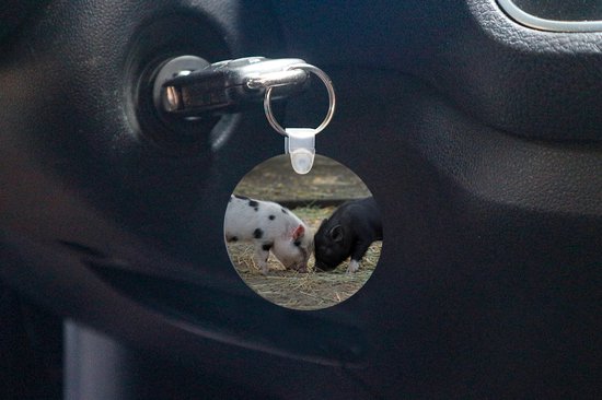 Porte-clés - Cochons - Porcelets - Paille - Plastique - Rond - Cadeaux à distribuer