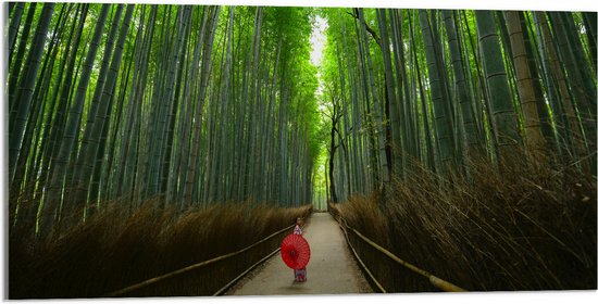 WallClassics - Acrylglas - Bamboe Bomen met Japanse Paraplu - 100x50 cm Foto op Acrylglas (Wanddecoratie op Acrylaat)