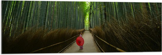 WallClassics - Acrylglas - Bamboe Bomen met Japanse Paraplu - 120x40 cm Foto op Acrylglas (Wanddecoratie op Acrylaat)