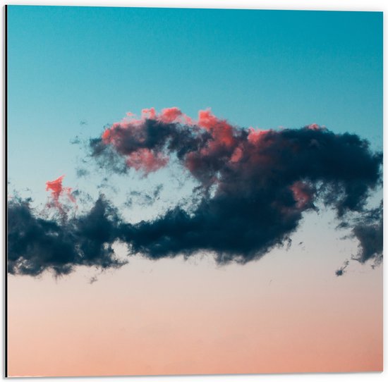 WallClassics - Dibond - Bijzondere Wolk - 50x50 cm Foto op Aluminium (Met Ophangsysteem)