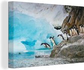 Pingouins en Antarctique plongent dans l'eau 90x60 cm - Tirage photo sur toile (Décoration murale salon / chambre)