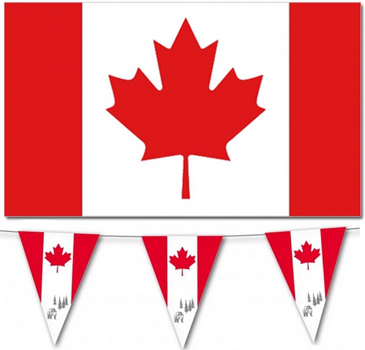 Bellatio decorations Vlaggen versiering Canada Vlag 90 x 150 cm