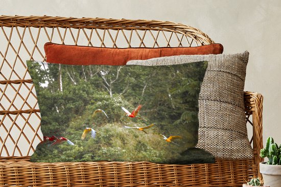 Sierkussen pour la vie forestière à l'intérieur - Perroquets dans la forêt tropicale - 60x40 cm - Coussin rectangulaire en coton