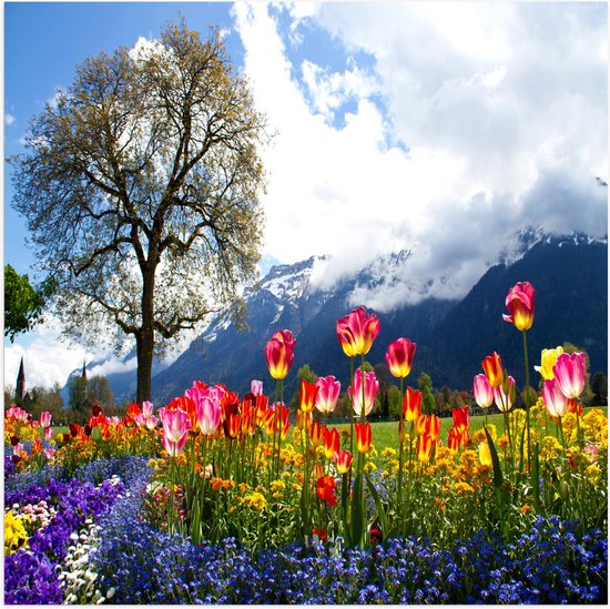WallClassics - Poster (Matte) - Fleurs aux couleurs vives dans le champ avec Berg et arbre - Photo 50x50 cm sur papier affiche à l'aspect mat