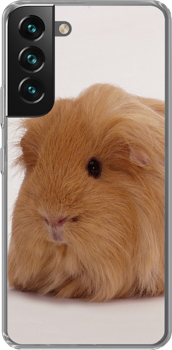 Telefoonhoesje Geschikt voor Samsung Galaxy S22 hoesje - Sheltie cavia - Siliconen Telefoonhoesje Telefoonhoesje