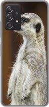 Geschikt voor Samsung Galaxy A53 5G hoesje - Stokstaartje - Dier - Wild - Siliconen Telefoonhoesje