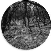 WallClassics - Dibond Muurcirkel - Takken in het Bos Zwart / Wit - 50x50 cm Foto op Aluminium Muurcirkel (met ophangsysteem)