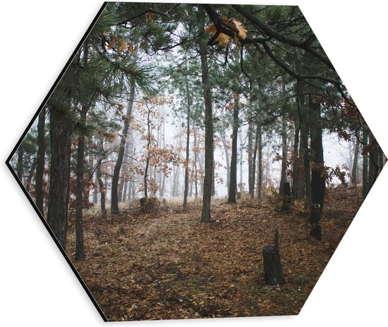 WallClassics - Dibond Hexagon - Herfstbladeren tussen de Bomen in een Bos - 30x26.1 cm Foto op Hexagon (Met Ophangsysteem)