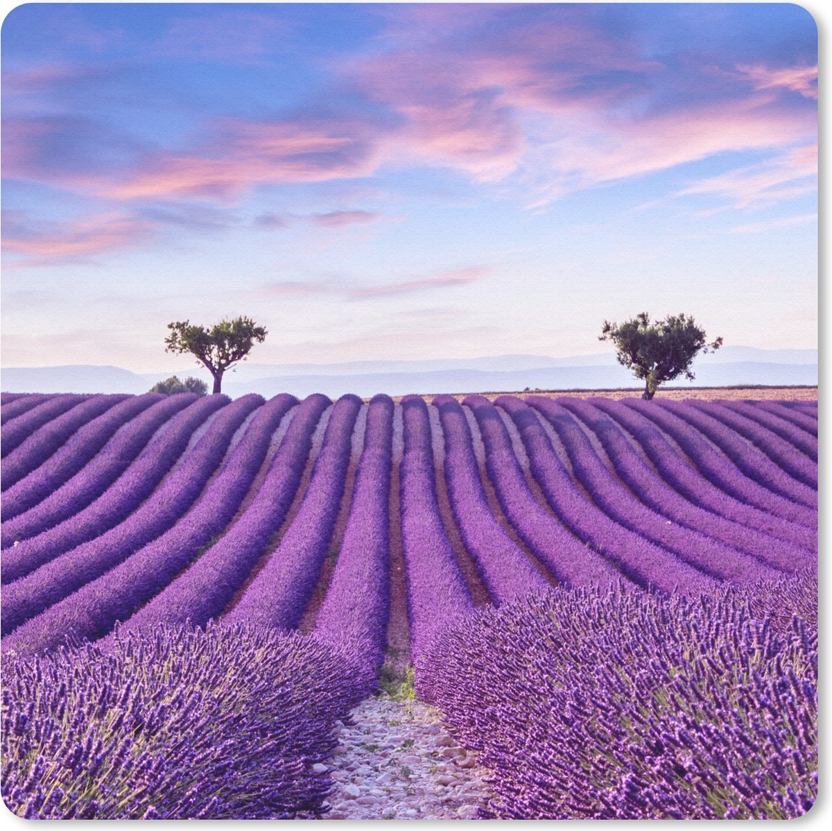 Muismat 20x20 cm - Mousepad Lavendel - Natuur - Paars - Bomen - Bloemen - Muismatten