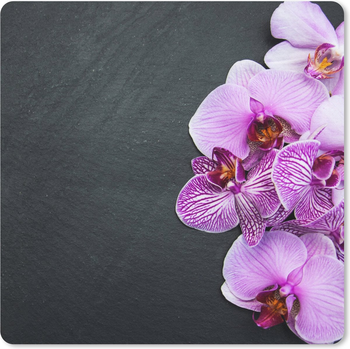 Muismat 30x30 cm - Mousepad Orchidee - Bloemen - Roze - Flora - Muismatten