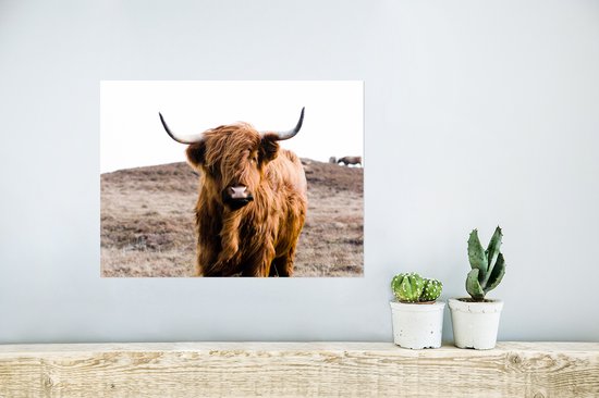 Poster Highlander écossais - Paysage - Vache - Marron - Animaux - Nature - 40x30 cm