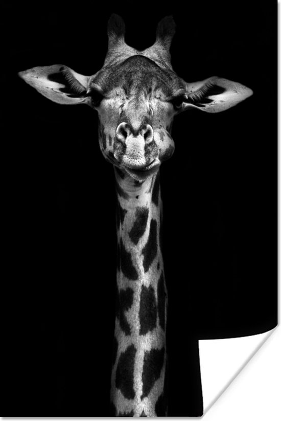 Poster Giraffe - Portret - Dieren - Zwart - Wit - 20x30 cm
