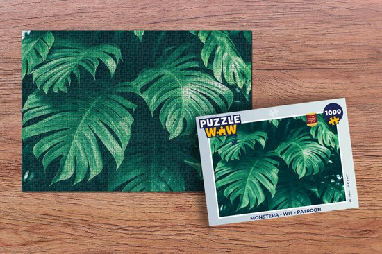 plant ti Rainbow Ti Leaves ( 10 Pack)