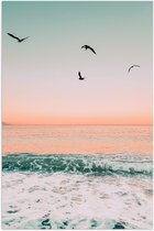 WallClassics - Poster (Matte) - Vogels volants au-dessus de la mer - 40x60 cm Photo sur Papier Poster avec un aspect Mat