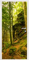 Deursticker Bomen - Steen - Bos - Natuur - Planten - 90x215 cm - Deurposter