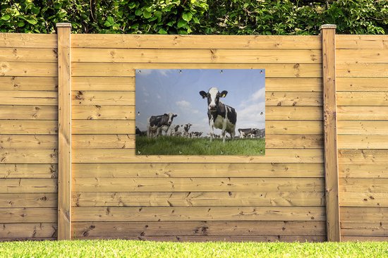 Tuinposter koeien - Tuindecoratie dieren - 120x80 cm - Tuindoek Friesland - Muurdecoratie voor buiten - Schuttingposter - Tuinschilderijen - Tuinwanddecoratie gras - Tuinposters
