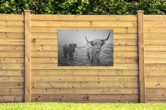 Affiche de jardin - Toile de jardin - Posters de jardin extérieur - Highlanders écossais - Lumière - Air - Nature - 120x80 cm - Jardin