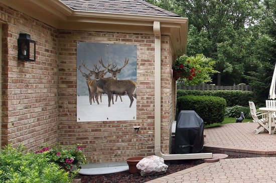 Affiche jardin - Toile jardin - Posters de jardin extérieur - Cerf - Animaux - Neige - Hiver - Paysage - Nature - 90x120 cm - Jardin