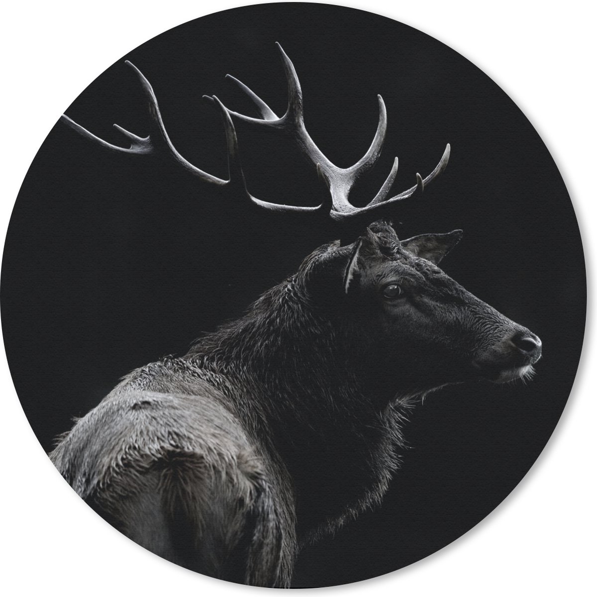 Muismat rond 40x40 cm - Mousepad Hert - Zwart - Portret - Gewei - Dieren - Ronde muismatten