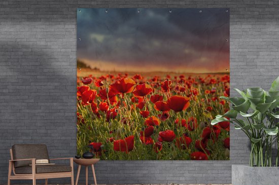 Affiche de Jardin Coucher de soleil - Coquelicots - Rouge - 200x200 cm
