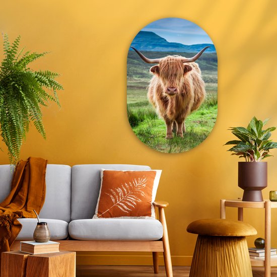 Ovale Mural - Décoration murale Plastique - Peinture Ovale - Highlander écossais - Vache - Nature - Berg - Herbe - 60x90 cm - Forme miroir ovale sur plastique