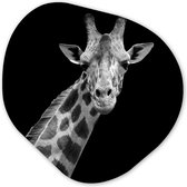 Organische Wanddecoratie - Kunststof Muurdecoratie- Organisch Schilderij - Giraffe - Wilde dieren - Zwart - Wit - Portret- 90x90 cm - Organische spiegel vorm op kunststof