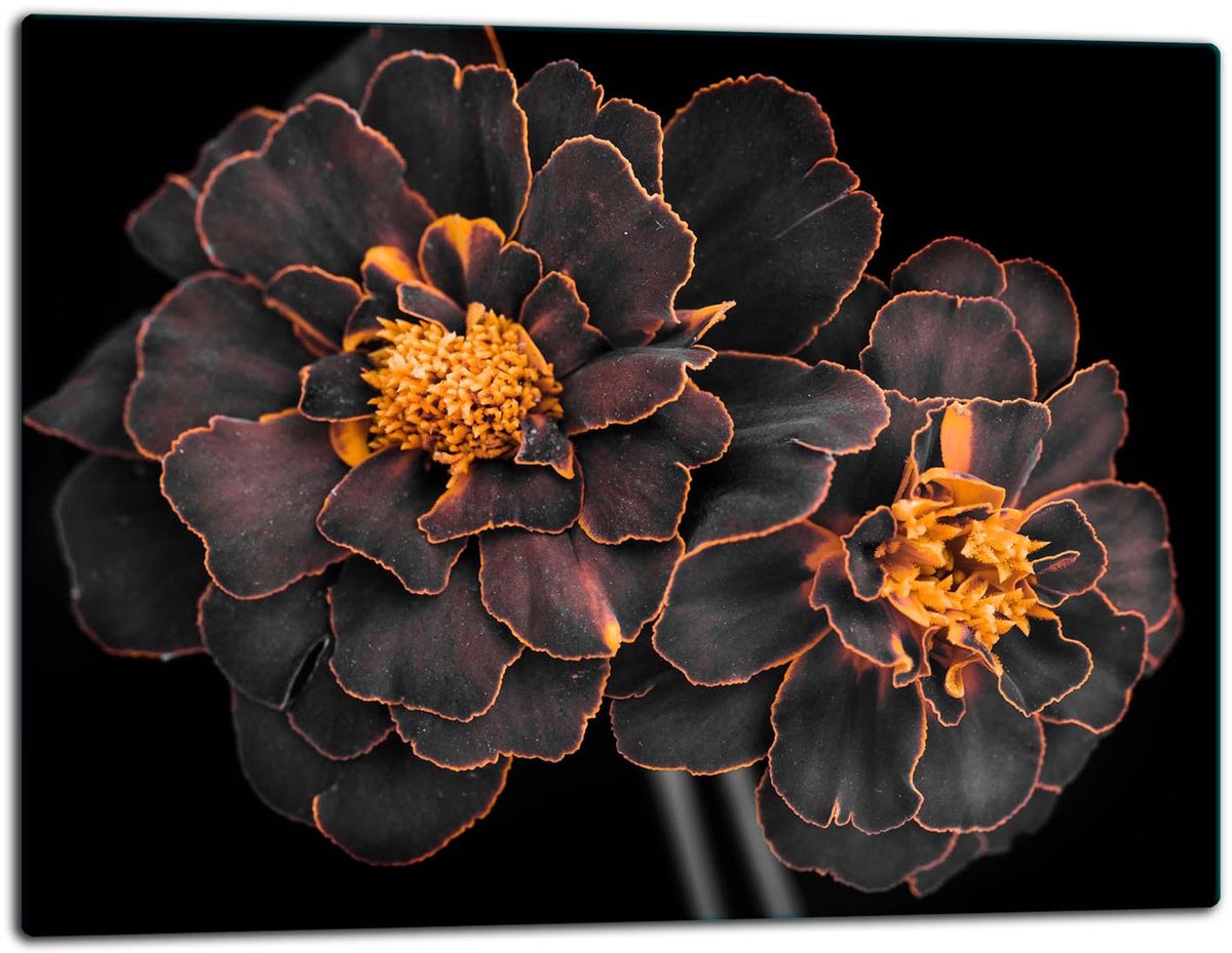 TMK ArtDeko - Snijplank - Glas - 52x40 cm - Kleurvolle bloemen