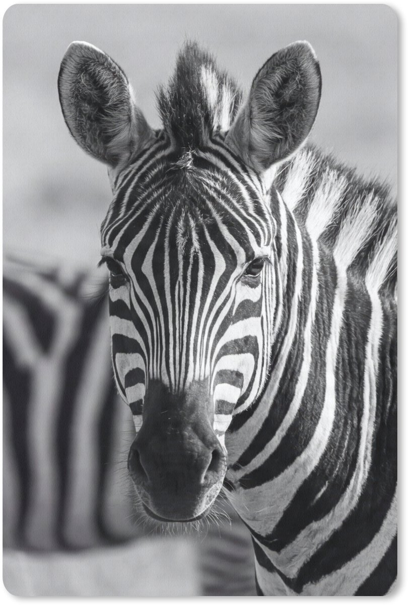 Muismat 13x20 cm - Mousepad Zebra's - Zwart - Wit - Muismatten