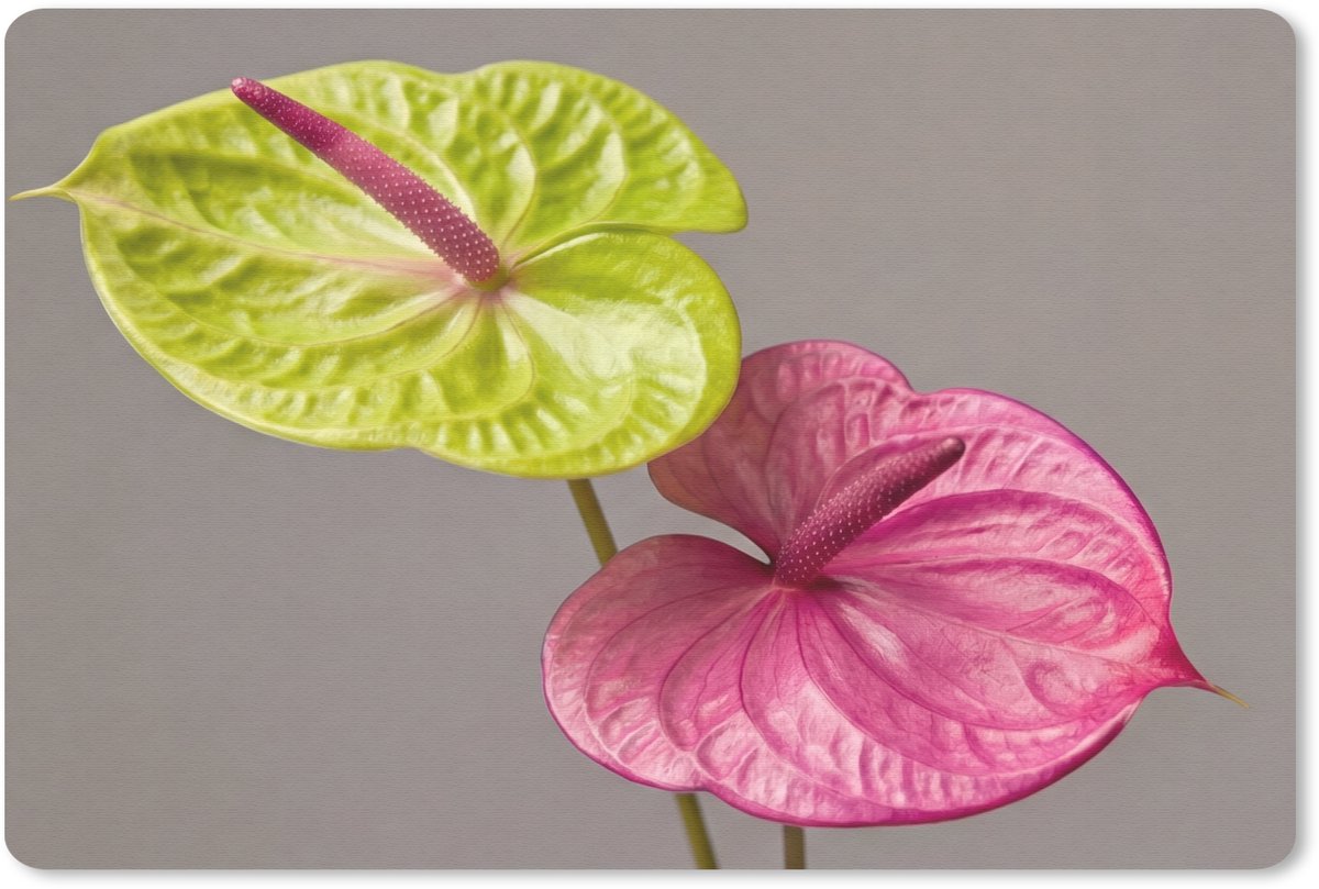 Muismat 13x8 cm - Mousepad Planten - Anthurium - Groen - Roze - Muismatten