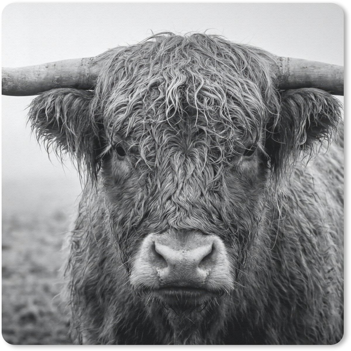 Muismat 20x20 cm - Mousepad Schotse hooglander - Zwart - Wit - Gras - Muismatten