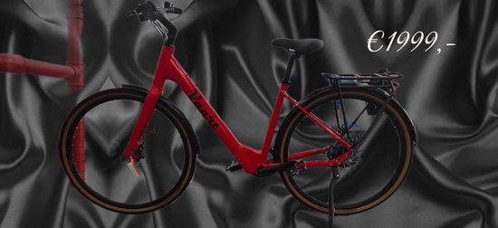 Premium e-bike met riemaandrijving en frame maat 53 cm van Merkloos — afbeelding 4