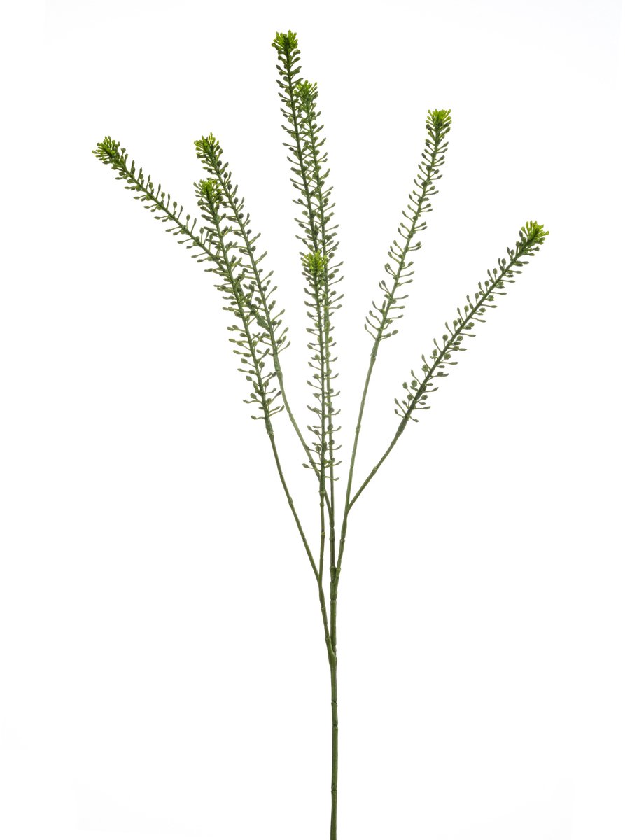 Kunsttak Lepidium - Kunststof / Metaal - Groen - 85 cm hoog - Decoratie Tak
