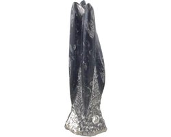Orthoceras sculptuur fossielen - Fossielen beeldje - Decoratie huis - Veel ingesloten fossielen - 23 x 7 x 5 cm
