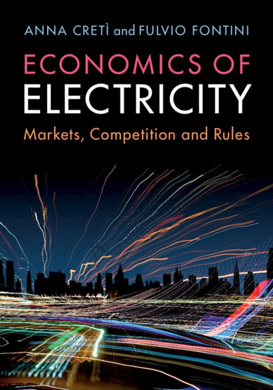 Boekomslag: 'Economics of Electricity', met lichten van de stad op de achtergrond.