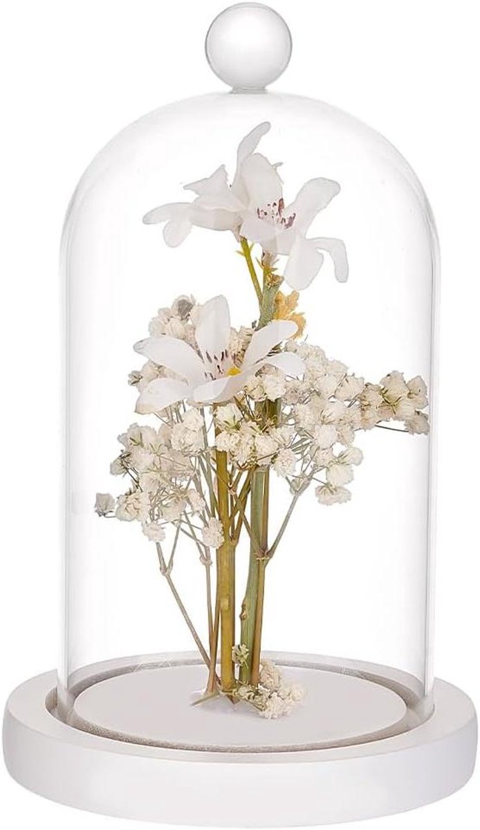Glazen stolp - Decoratie koepel - Spullen beschermen - Met losse basis - 9x177 cm - Transparant