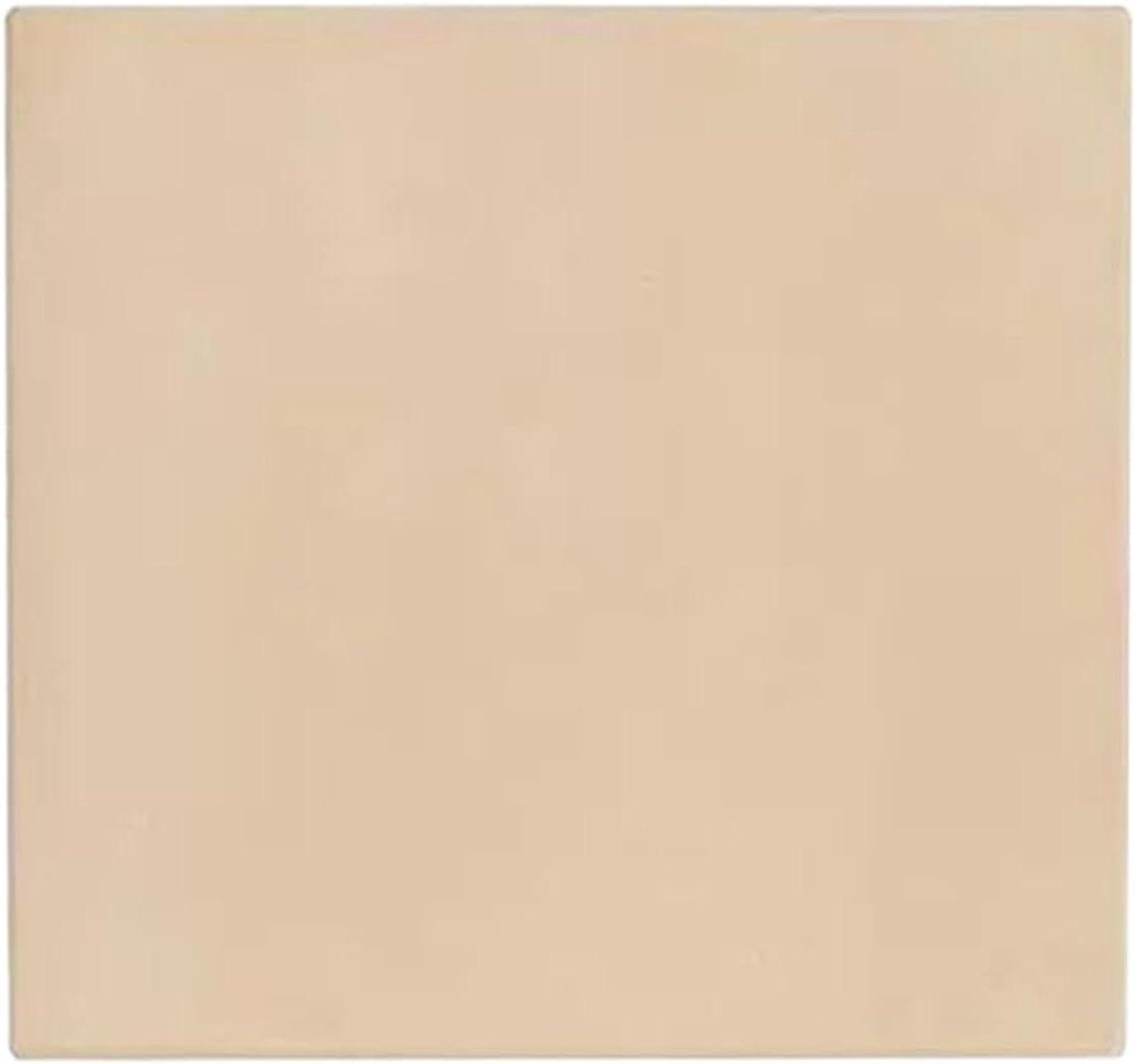 Pizzasteen - Bakplaat - Crispy pizza bakken - Hoge thermische schok - 30.5x30.5 cm - Meerkleurig