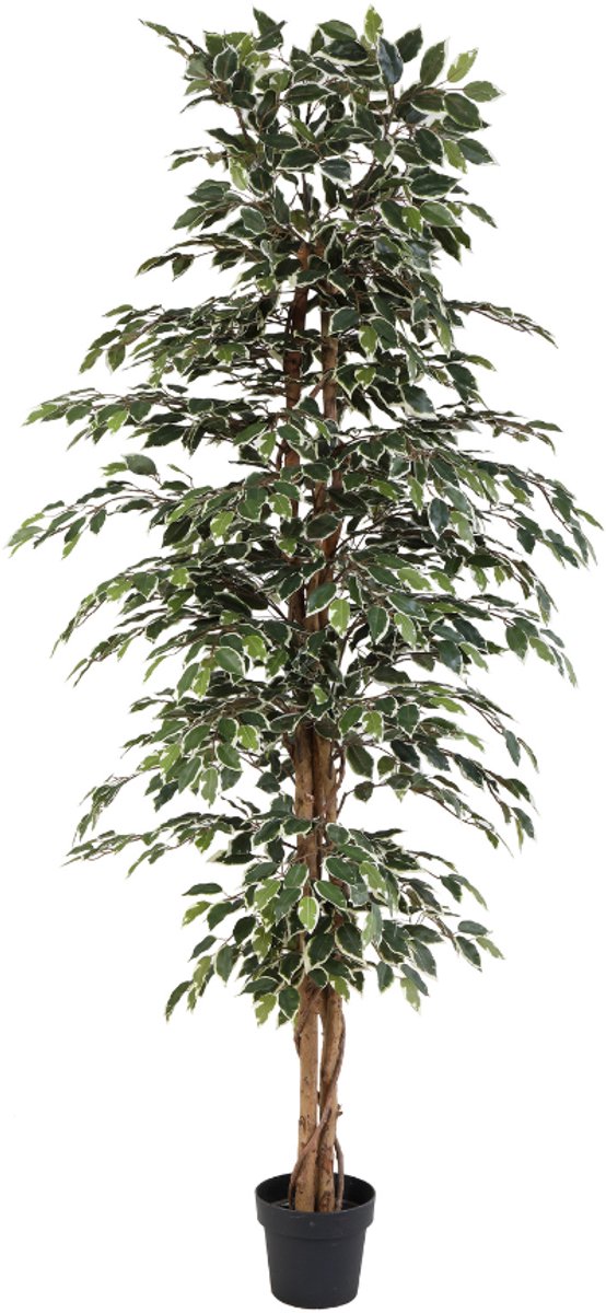 Trendyplants - Kunst Ficus Benjamina - Treurvijg - Kunstplant - Hoogte 205cm - Potmaat Ø20cm