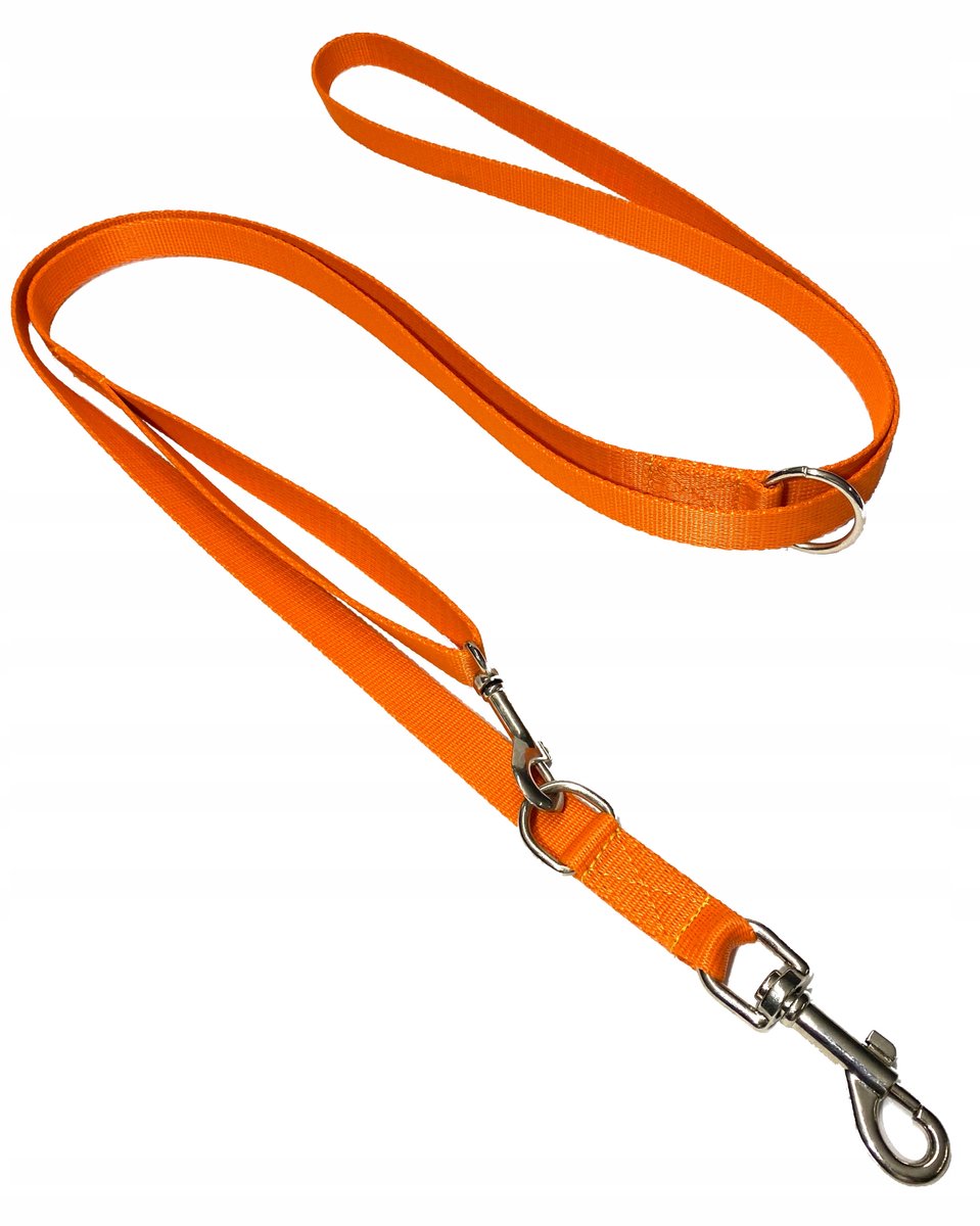 Verstelbare Hondenlijn 135-250 cm, 20 mm breed, Oranje